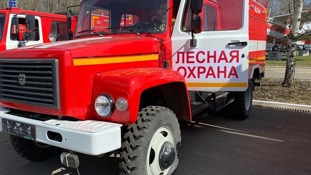 Главная картинка новости: Во Владимирской области выделили 190 миллионов рублей на защиту лесов от пожаров