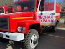Во Владимирской области выделили 190 миллионов рублей на защиту лесов от пожаров