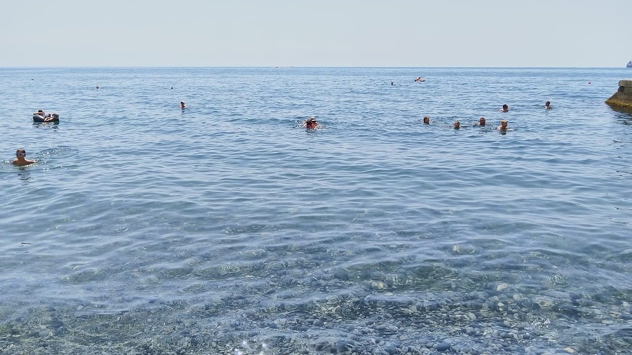 Главная картинка новости: «В этот красивый ад точно не сунусь больше»: российские туристы высказали честное мнение об отдыхе в Абхазии