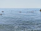 «В этот красивый ад точно не сунусь больше»: российские туристы высказали честное мнение об отдыхе в Абхазии