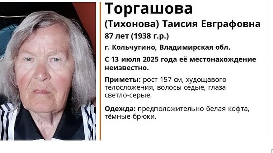 Главная картинка новости: Владимирских водителей просят помочь в поисках 87-летней женщины из Кольчугина