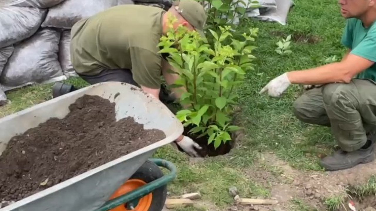 Главная картинка новости: Во Владимире благоустроили Левитановский сквер в честь года Защитника Отечества