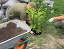 Во Владимире благоустроили Левитановский сквер в честь года Защитника Отечества