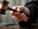 Кольчугинский убийца матери лишен права на наследство