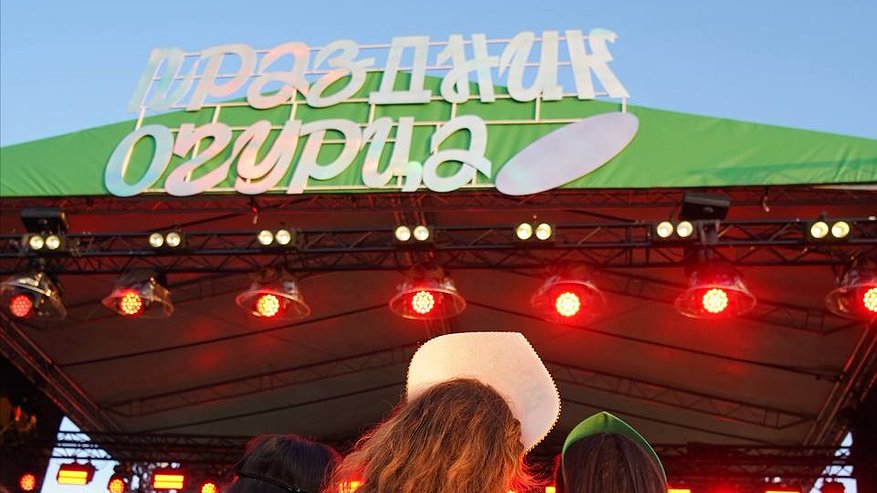 Главная картинка новости: Фестиваль огурца в Суздале побил рекорд по числу гостей