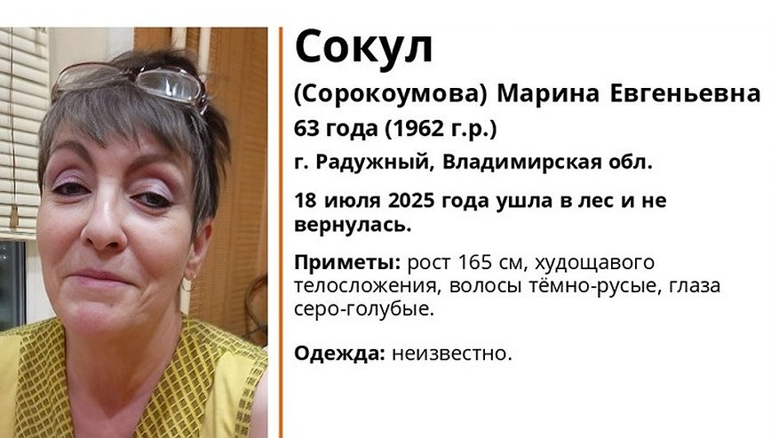 Главная картинка новости: В городе Радужный Владимирской области пропала 63-летняя женщина после похода в лес