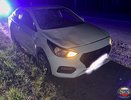 В Камешковском районе два автомобиля столкнулись из-за выбежавшего на дорогу лося