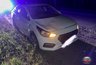 Миниатюра новости: В Камешковском районе два автомобиля столкнулись из-за выбежавшего на дорогу лося