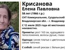 В СНТ Коммунальник под Суздалем пропала 58-летняя женщина в синем платье и с рюкзаком