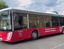 Во Владимире автобусный маршрут №2 стал доступным для льготного проезда