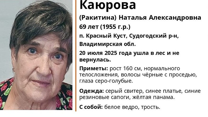 Главная картинка новости: В Судогодском районе 69-летняя женщина ушла в лес и пропала безвестии