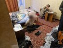 В Александрове житель Москвы получил срок за фиктивные документы для мигрантов
