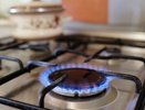 Более 2000 домов в области получили субсидии на газ в 2025 году