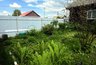 Миниатюра новости: Живые изгороди, которые сделают ваш дачный участок уникальным: как выбрать правильные декоративные кустарники