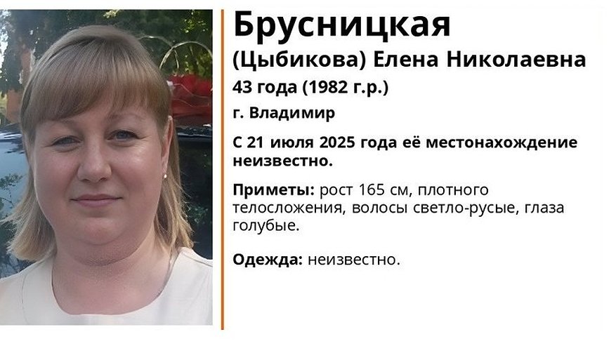 Главная картинка новости: В регионе ищут пропавшую 43-летнюю женщину из Владимира