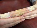 Во Владимире из-за ошибки пристава женщина осталась без алиментов