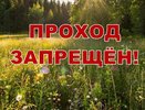 Проход на полигон Сергейцево под Ковровом будет закрыт до конца ноября