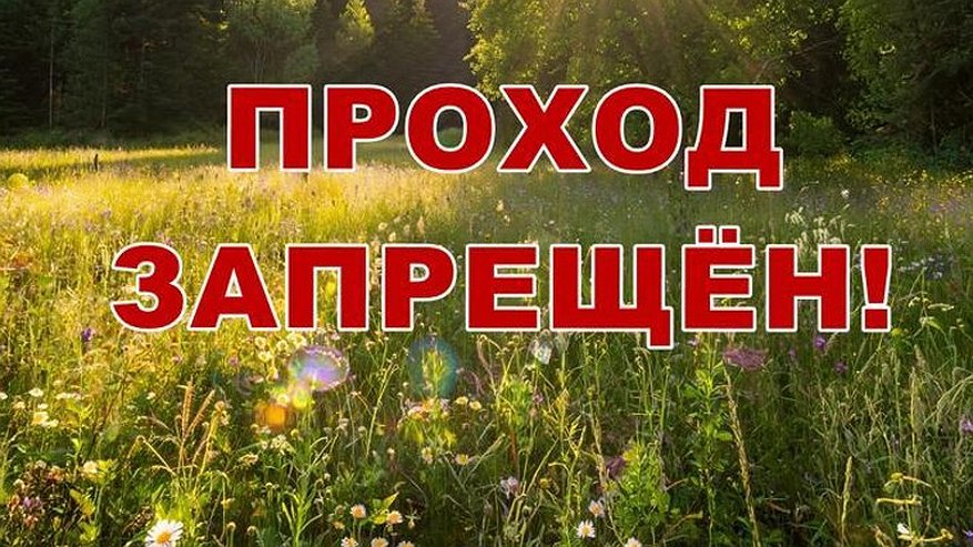 Главная картинка новости: Проход на полигон Сергейцево под Ковровом будет закрыт до конца ноября