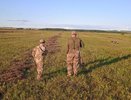 Во Владимирской области назвали даты начала охоты на дичь