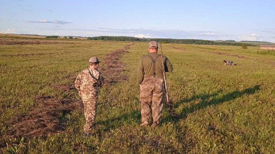 Главная картинка новости: Во Владимирской области назвали даты начала охоты на дичь
