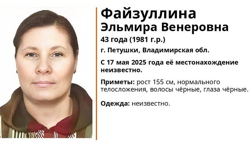 Главная картинка новости: Во Владимирской области ищут 43-летнюю женщину из Петушков