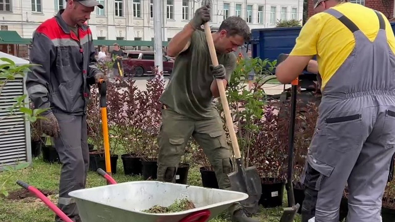 Главная картинка новости: На Театральной площади во Владимире высадили сирень и гортензии