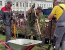 На Театральной площади во Владимире высадили сирень и гортензии