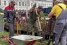 Миниатюра новости: На Театральной площади во Владимире высадили сирень и гортензии