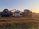 В семи районах Владимирской области началась уборка урожая и заготовка кормов