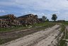 Миниатюра новости: В Меленковском районе предприниматель самовольно занял госучасток под склад древесины
