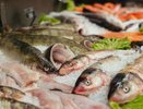 Региональный Роспотребнадзор выявил нарушения в рыбной продукции за первое полугодие