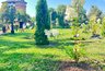 Миниатюра новости: На Спасском холме во Владимире высадили гортензии и туи