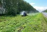 Миниатюра новости: В Собинском районе обработали от борщевика 16 гектаров вдоль дорог