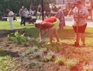Сквер Сперанского во Владимире украсили почти двумя тысячами цветов