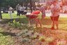 Миниатюра новости: Сквер Сперанского во Владимире украсили почти двумя тысячами цветов