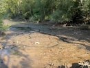 Во Владимире начали осушать пруды у Дворца детского и юношеского творчества