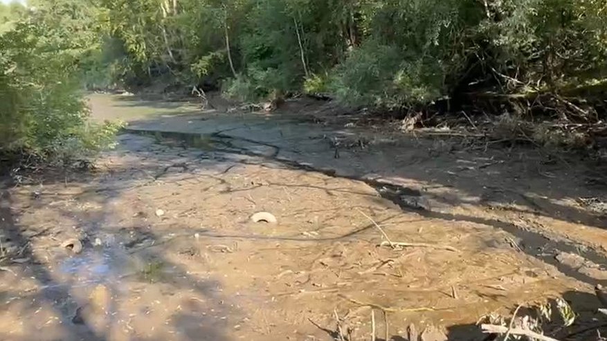 Главная картинка новости: Во Владимире начали осушать пруды у Дворца детского и юношеского творчества