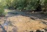 Миниатюра новости: Во Владимире начали осушать пруды у Дворца детского и юношеского творчества
