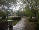 Всегда собираю дождевую воду — так можно сэкономить не только на поливе: 3 интересных способа применения