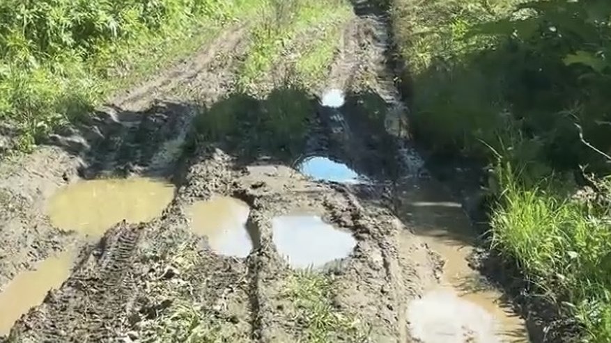 Главная картинка новости: Из-за бездорожья в деревне Бусино врачи не успели спасти местного жителя