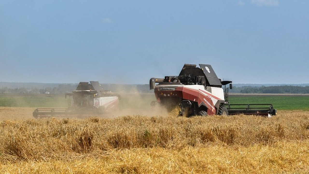 Главная картинка новости: На полях Владимирской области аграрии намолотили около 42 тысячи тонн зерна