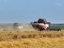 На полях Владимирской области аграрии намолотили около 42 тысячи тонн зерна