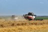 Миниатюра новости: На полях Владимирской области аграрии намолотили около 42 тысячи тонн зерна