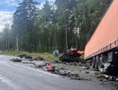 В ДТП в Гусь-Хрустальном районе погиб депутат Заксобрания региона Михаил Максюков