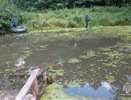 В Селивановском районе на реке Мотра утонул 65-летний мужчина
