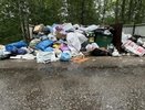 После жалоб жителей прокуратура выявила нарушения в вывозе мусора в Гороховецком районе