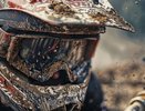 Мотоспорт, регби, и другие: что ждёт Владимирскую область в ближайшие дни