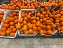 Лучше они сгниют на ветке – владелец мандаринового сада в Абхазии рассказал, почему качественные плоды до России не добираются