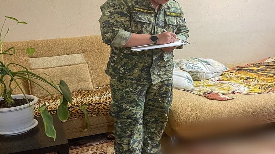 Главная картинка новости: В Муроме женщина обвиняется в убийстве матери своего сожителя