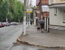 Метеоролог Вильфанд в растерянности: сдавайте билеты, если собрались в отпуск. Обновленный прогноз на август